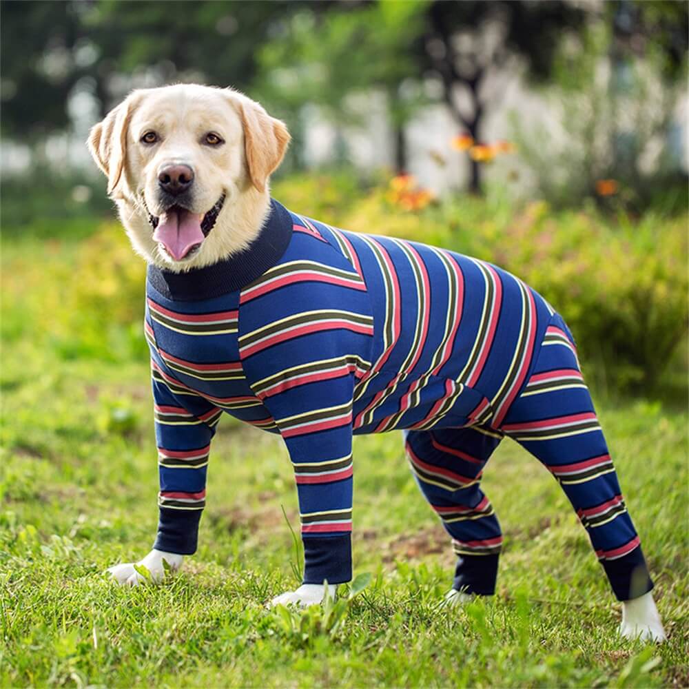 Ropa para perros grandes: pijama fino de cuatro patas con cubierta completa para el vientre