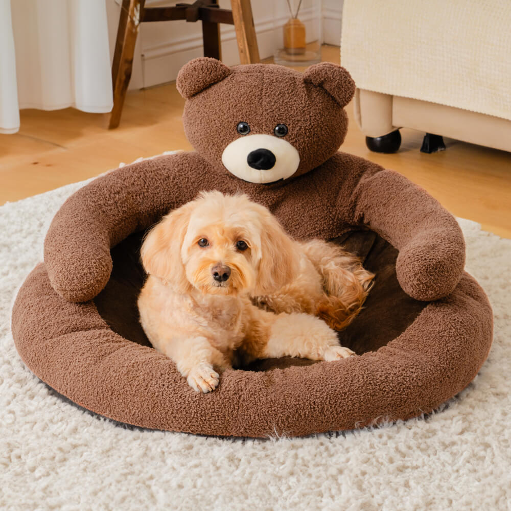 Cute Detachable Cuddle Bear Cat Bed