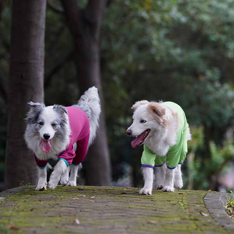 Quick Dry Four-legged Dog Shirts Dog Cooling Vest