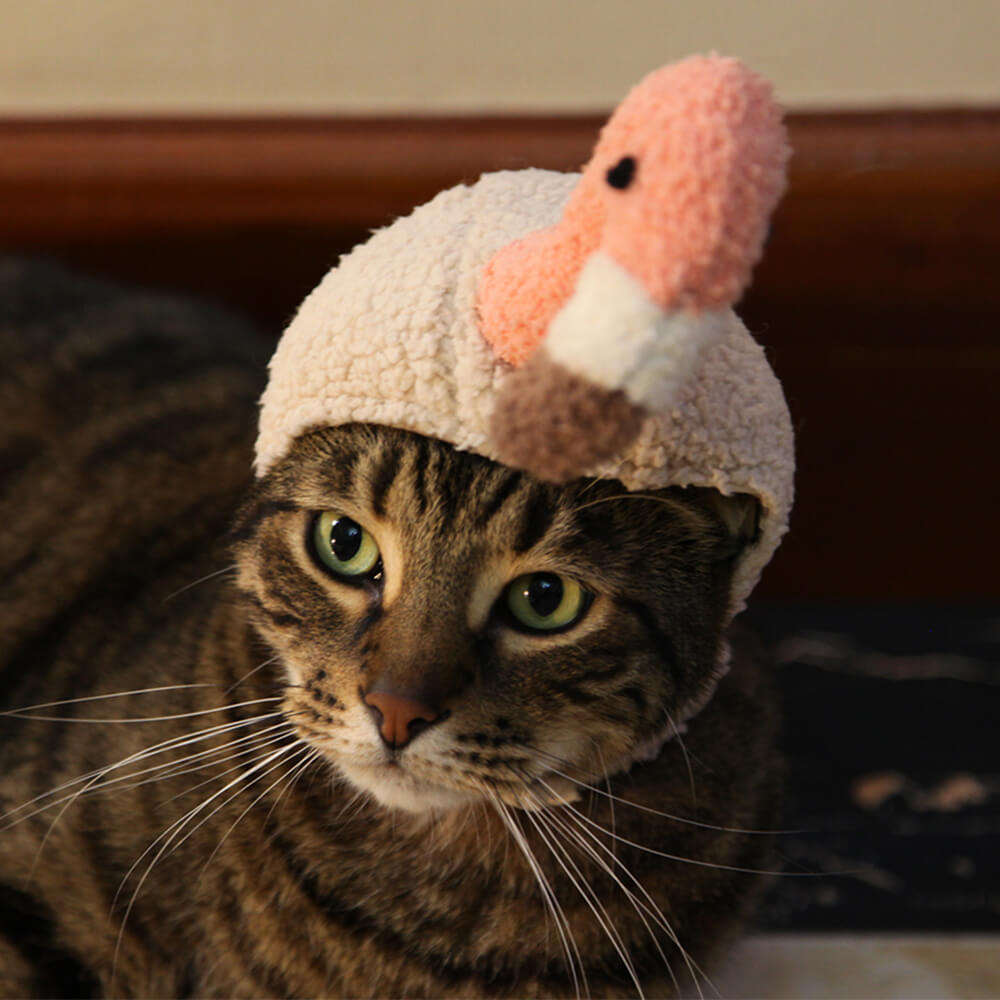 Christmas Halloween Decoration Funny Pet Hat Headgear