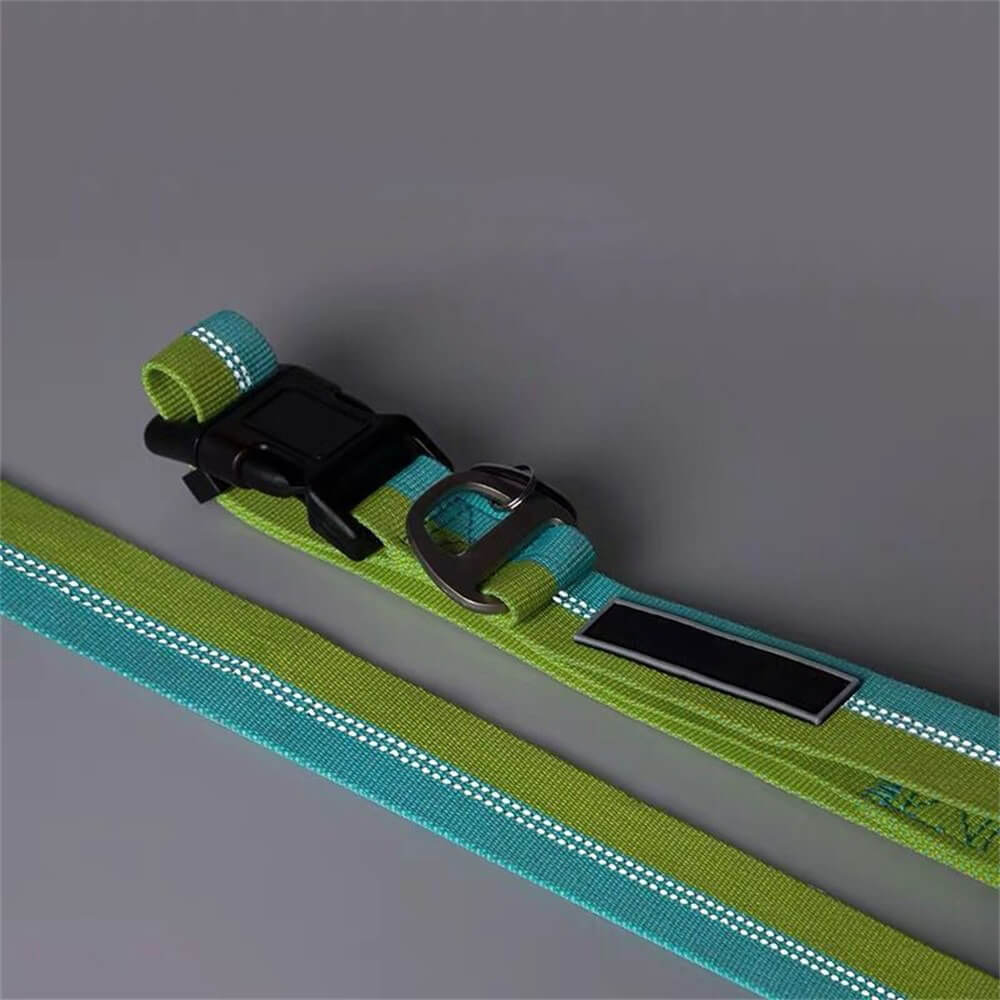 Colorful Dog Leash Collar - High Strength Nylon