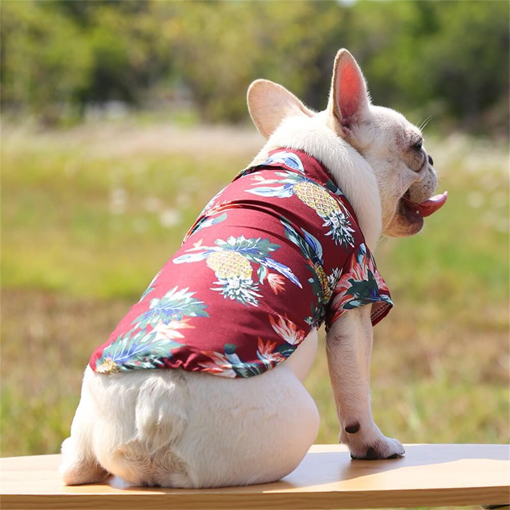 Pet Beach Pineapple Shirt for Small to Medium Dogs - Hawaiian Summer Lightweight Apparel