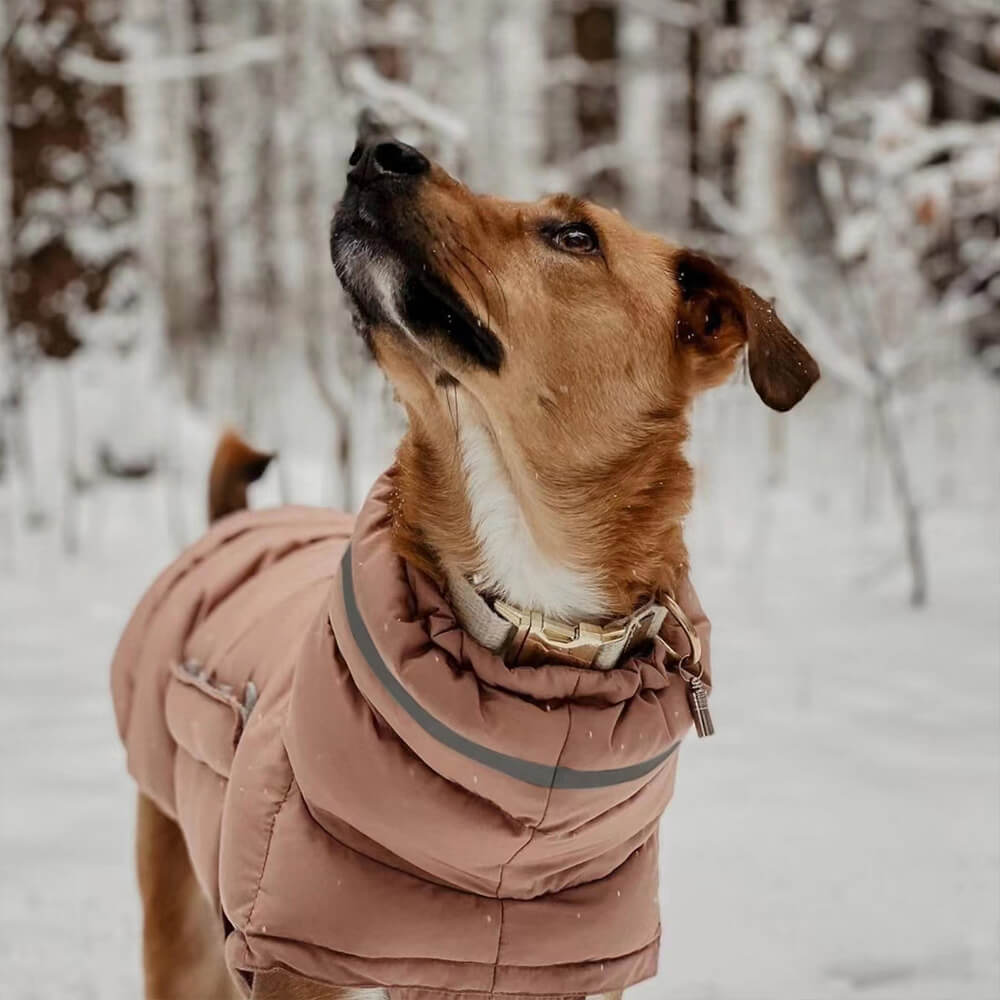 Waterproof And Windproof Warm Vest - The Ultimate In Winter Warmth And Style