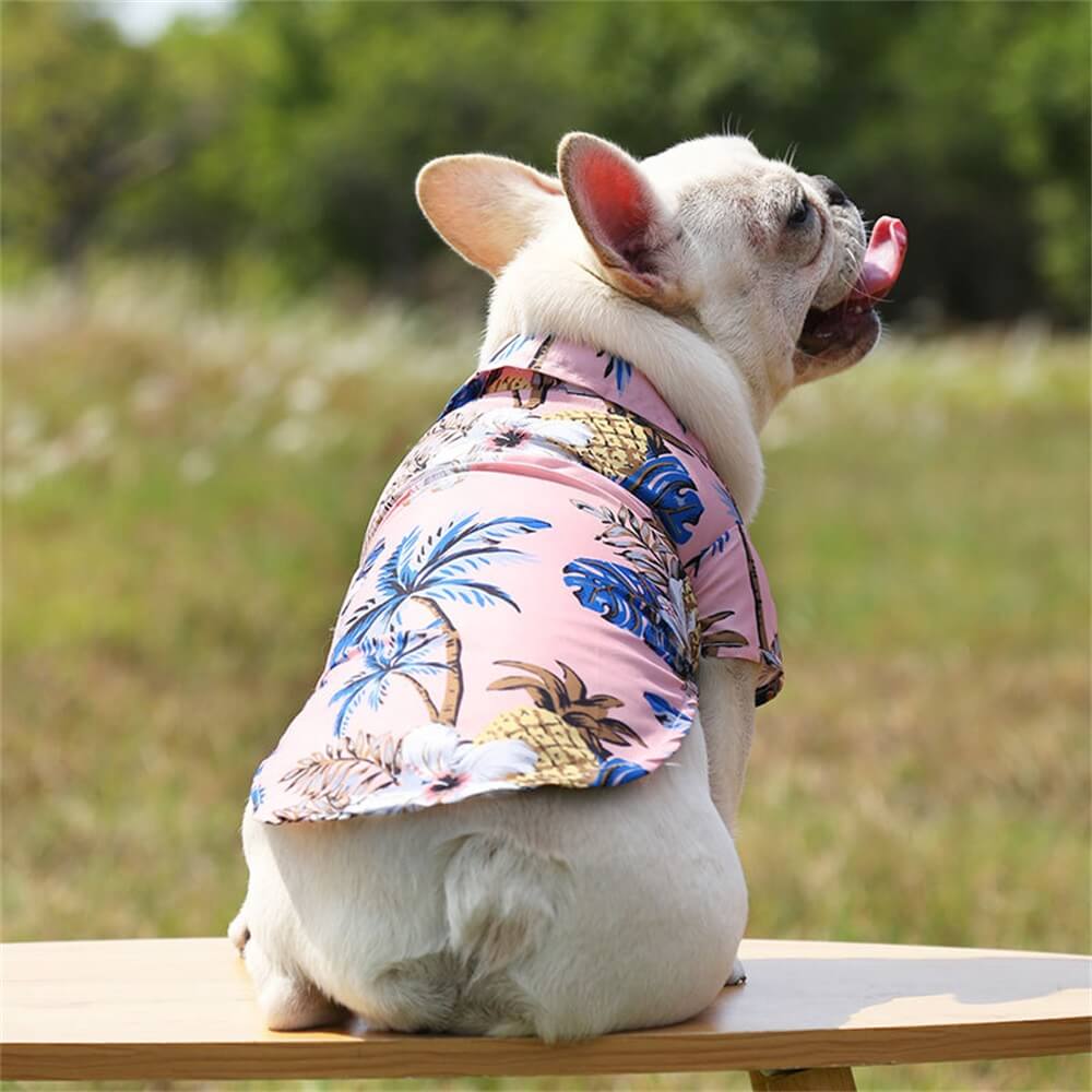 Pet Beach Pineapple Shirt for Small to Medium Dogs - Hawaiian Summer Lightweight Apparel