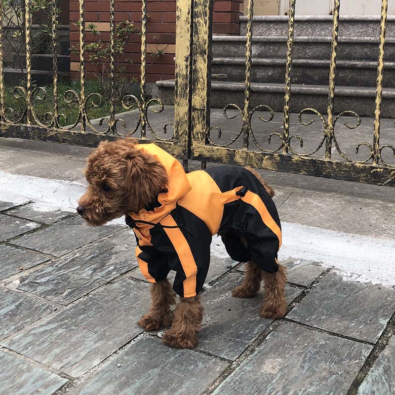 Capa de chuva impermeável para cães em tecido Oxford com pernas e capuz