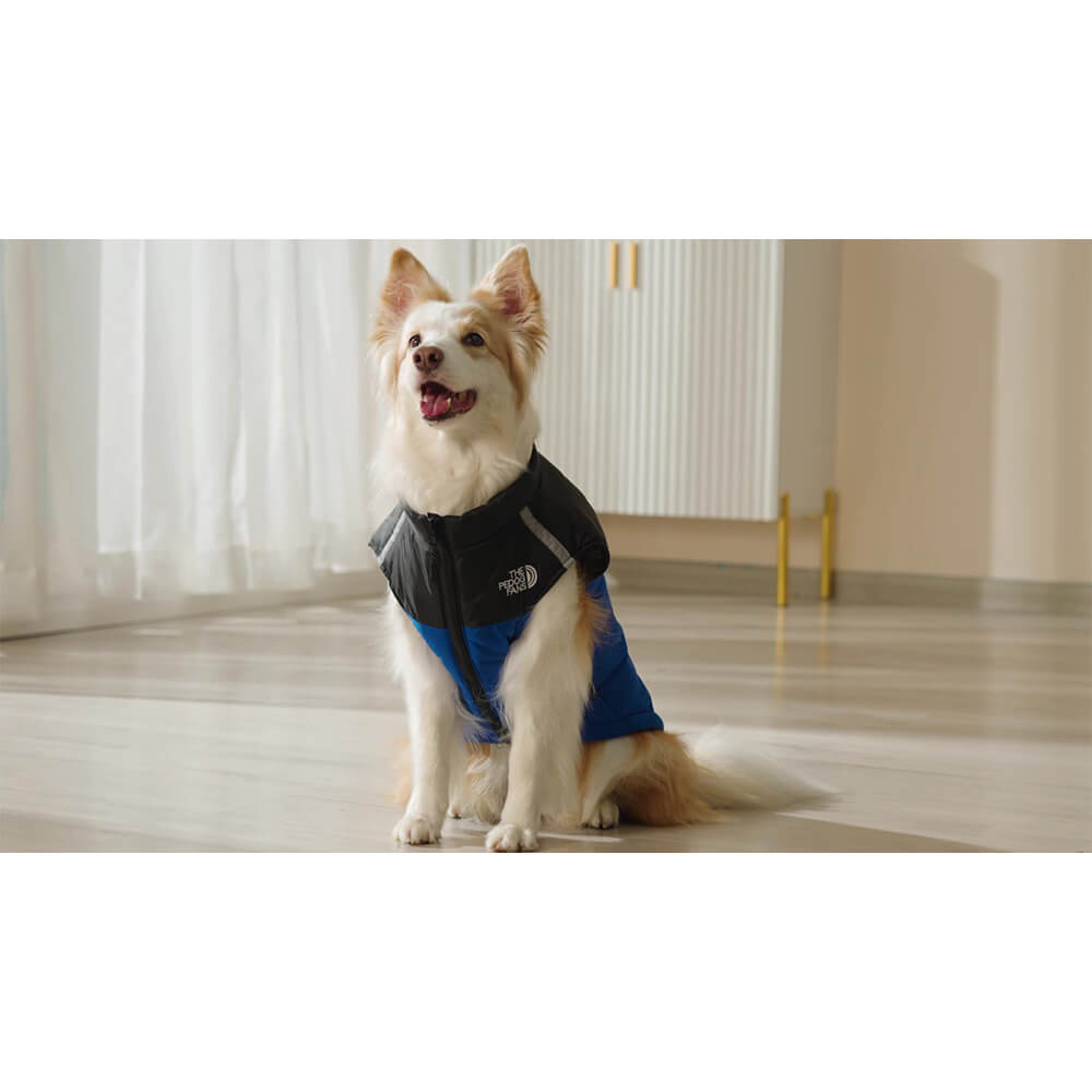 Waterproof and Windproof Dog Vest - Outdoor Adventure Jacket in 4 Colors