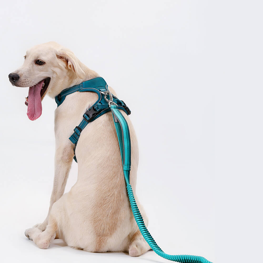 Adjustable Anti-Pull Breathable Dog Harness with Hands-Free Leash