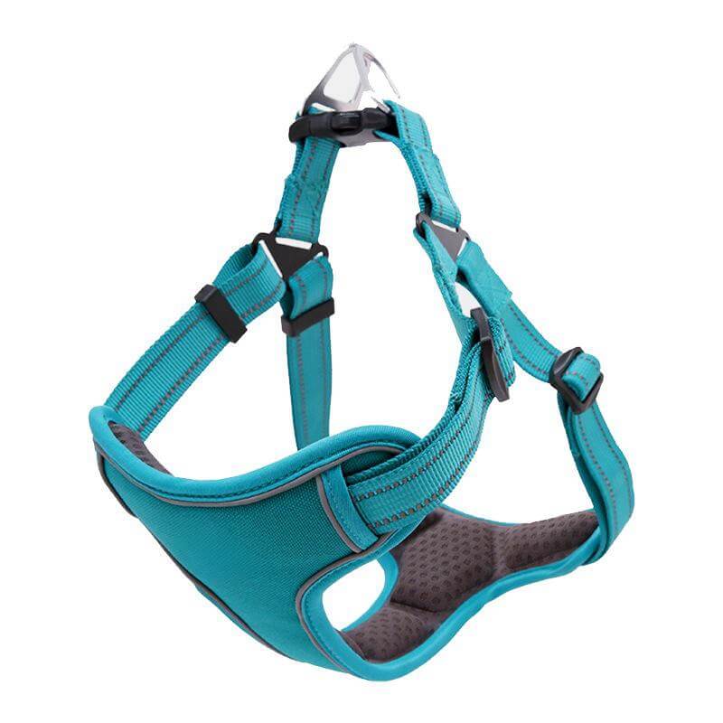 Adjustable Anti-Pull Breathable Dog Harness with Hands-Free Leash