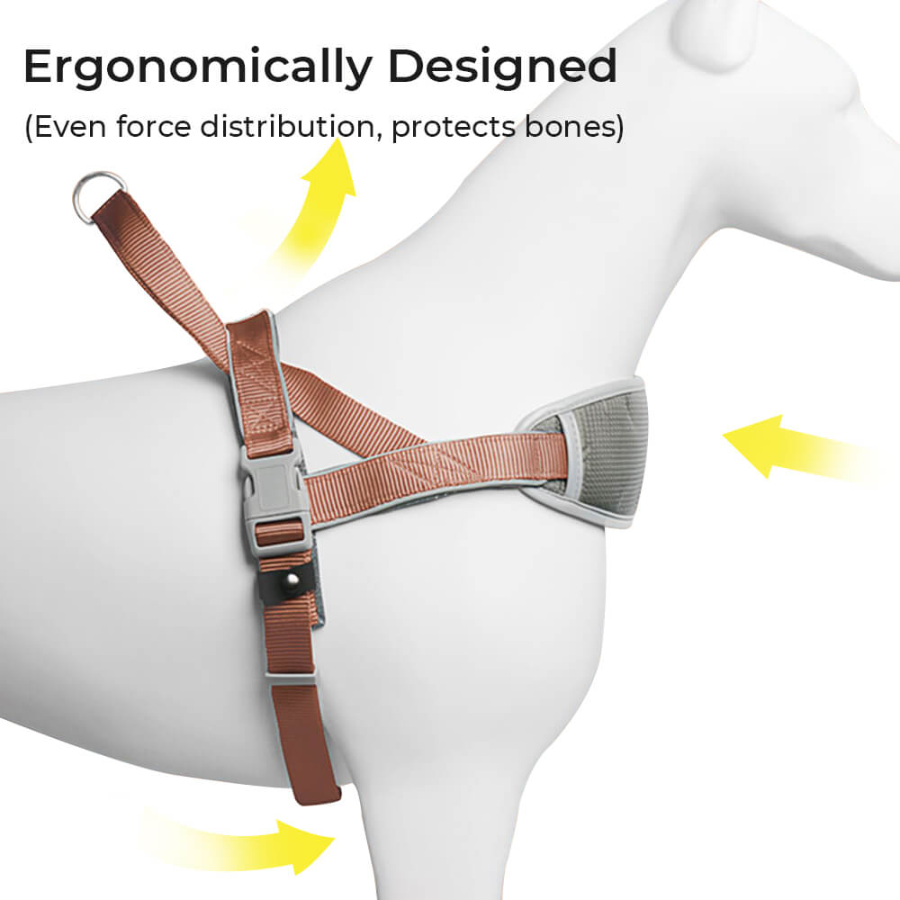 Arnés grande para perros con protección para el cuello, amortiguador, antitirones, con correa