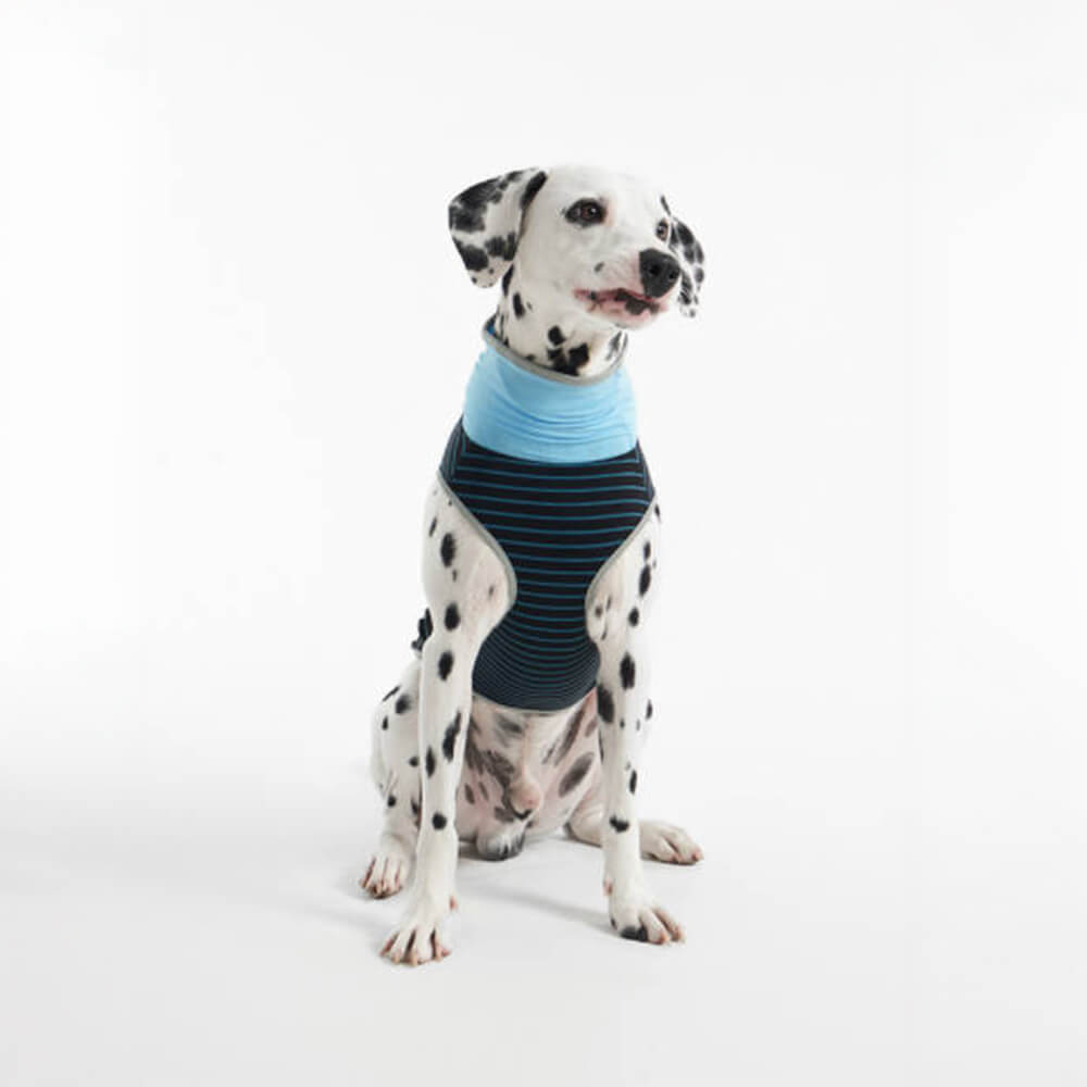 Cooling Ice Silk Striped Colored Breathable Dog Cooling Vest