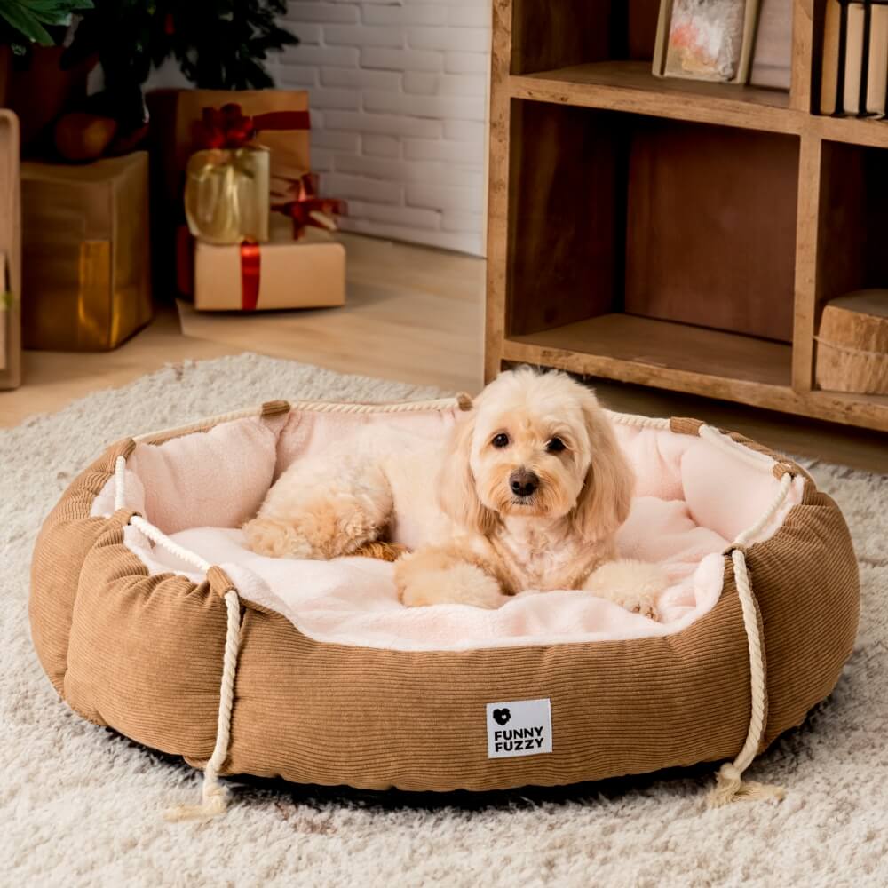 Cama para mascotas con cuerda para tirar, ajustable, resistente a mordeduras, para perros y gatos