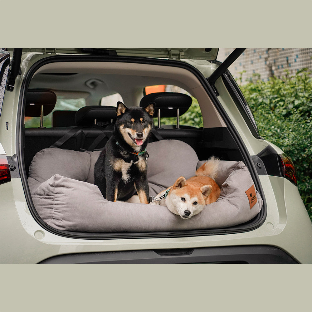 Asiento de coche para cama de perro