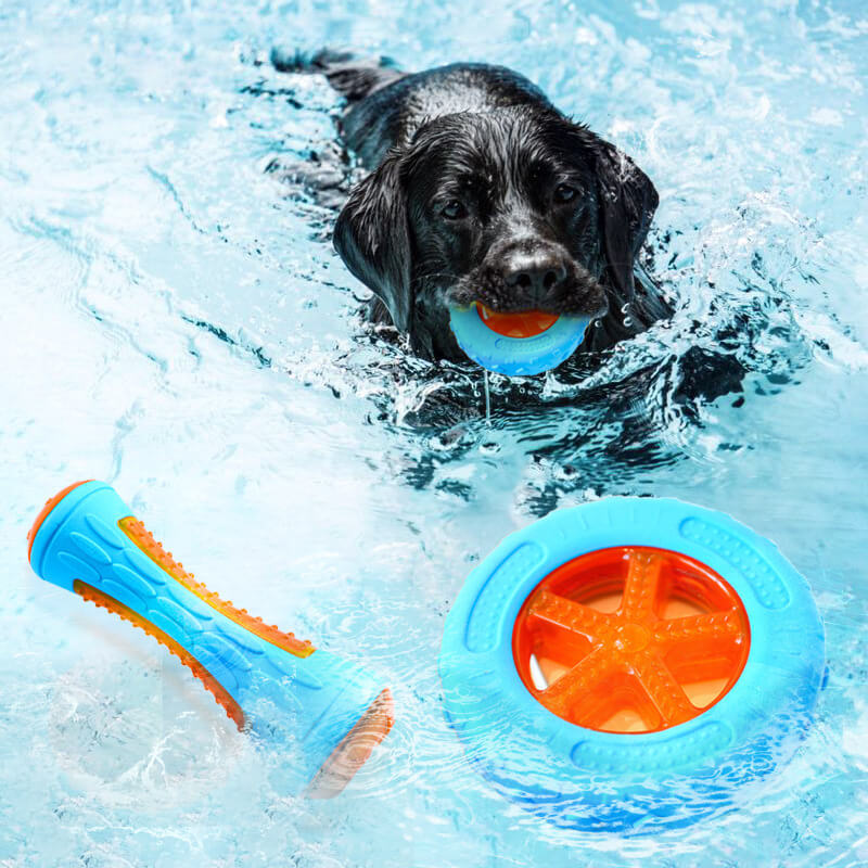 Juguete interactivo para masticar para perros, juguete de agua flotante al aire libre