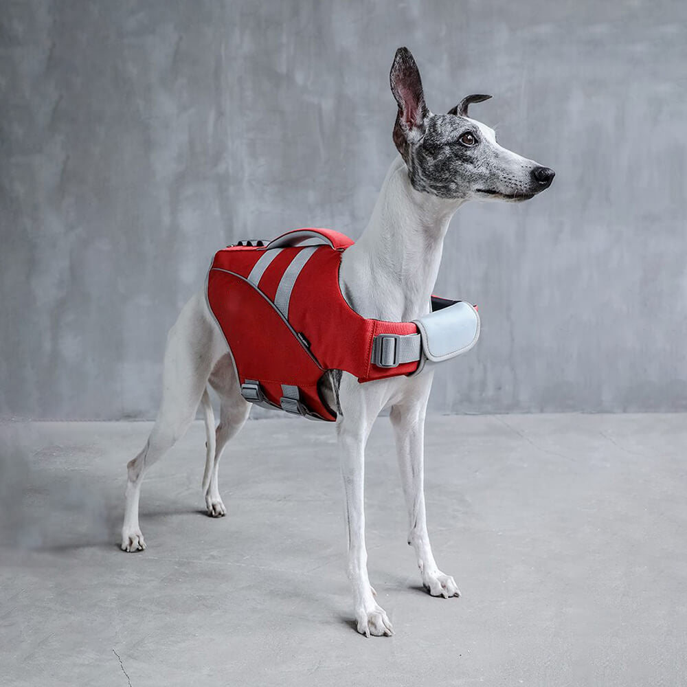 Gilet de sauvetage pour chien - Sauveteur