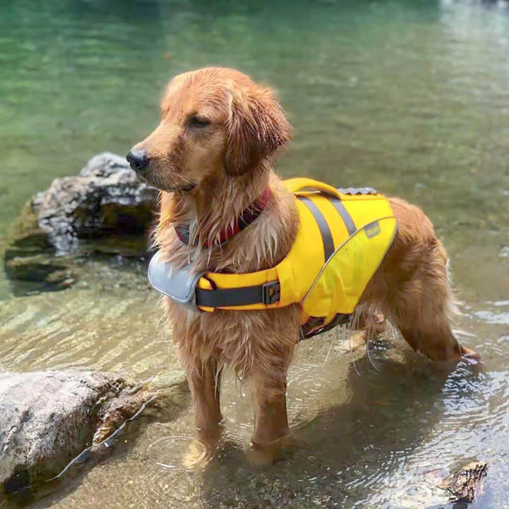 Gilet de sauvetage pour chien - Sauveteur