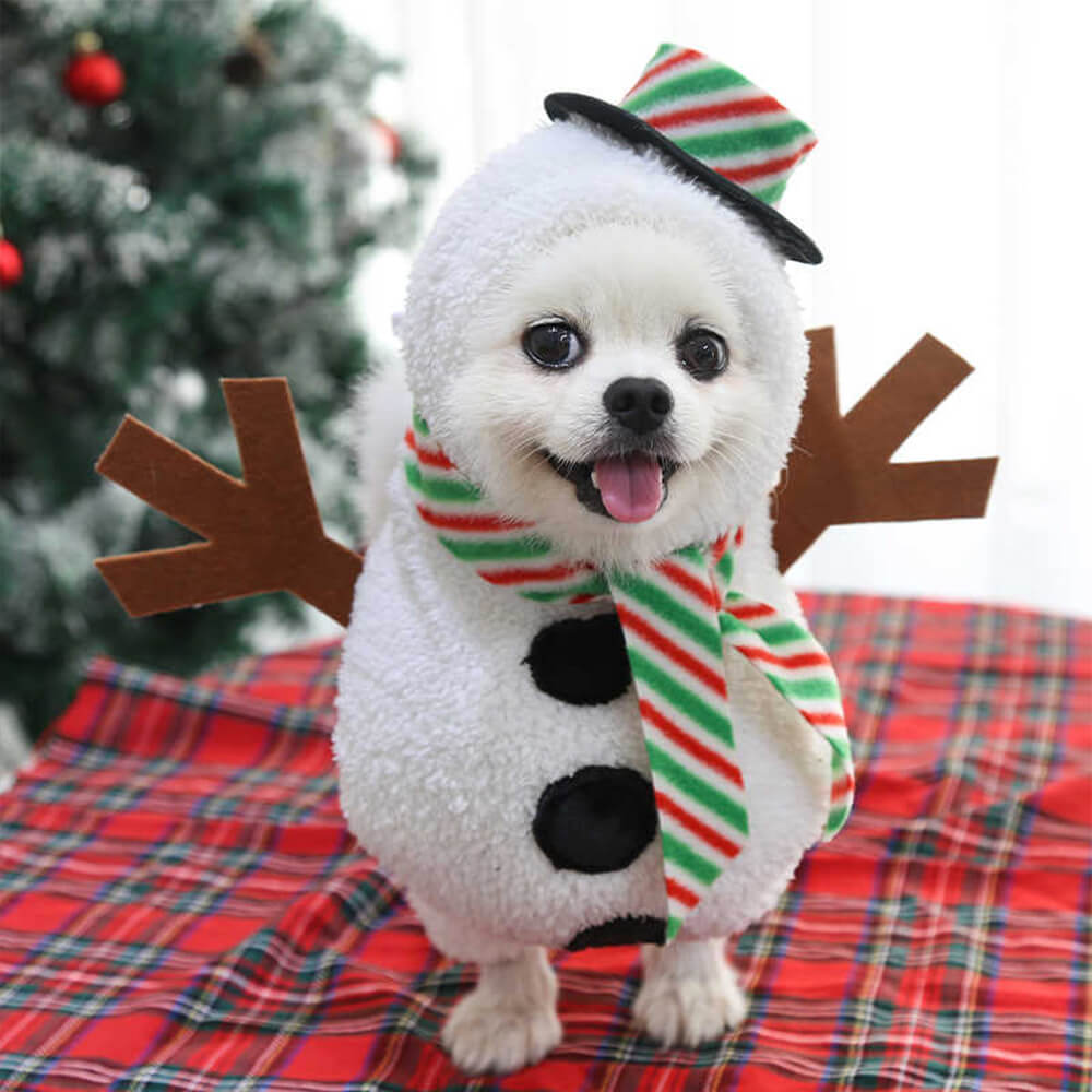 Christmas Walking Snowman Outfit Cosplay Dog & Cat Costume