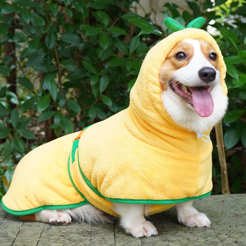 Pumpkin Soft Absorbent Dog Bathrobe Towel