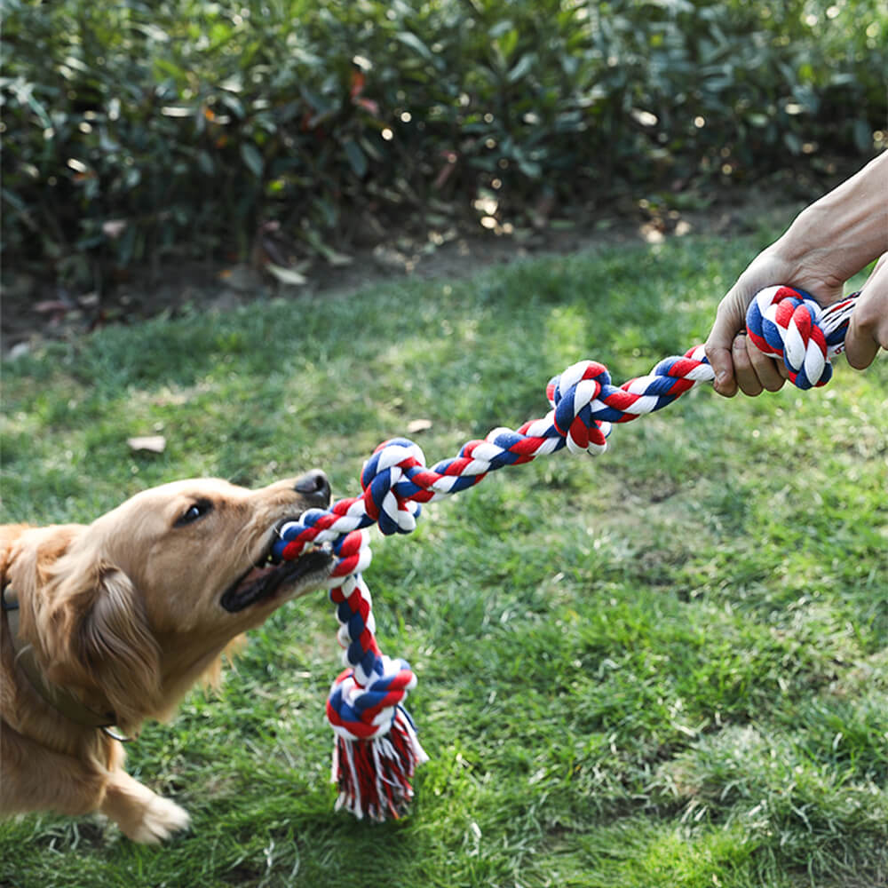 Rope Knot Tug Dog Interactive Toy