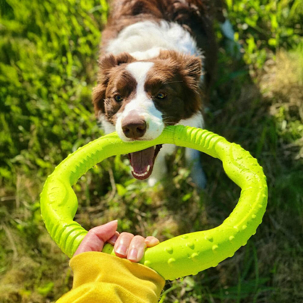 War Ring Durable Waterproof Lightweight Flexible Interactive Dog Toy