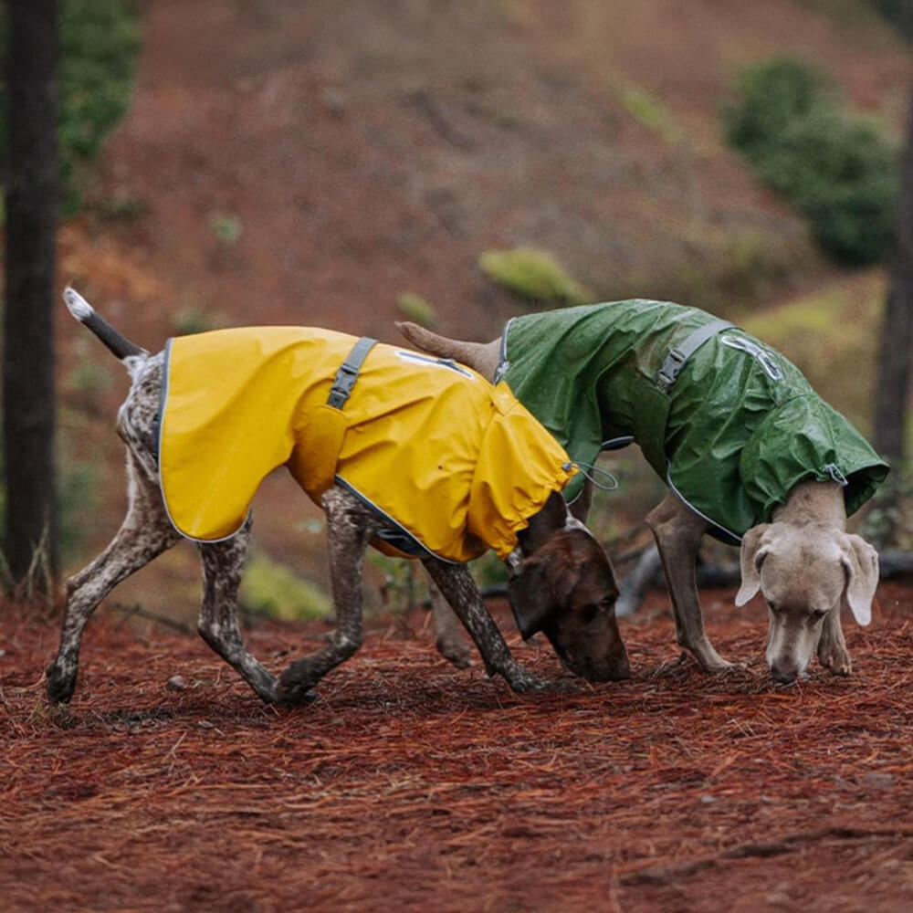 Adjustable Turtleneck Reflective Jacket Dog Human Matching Raincoat