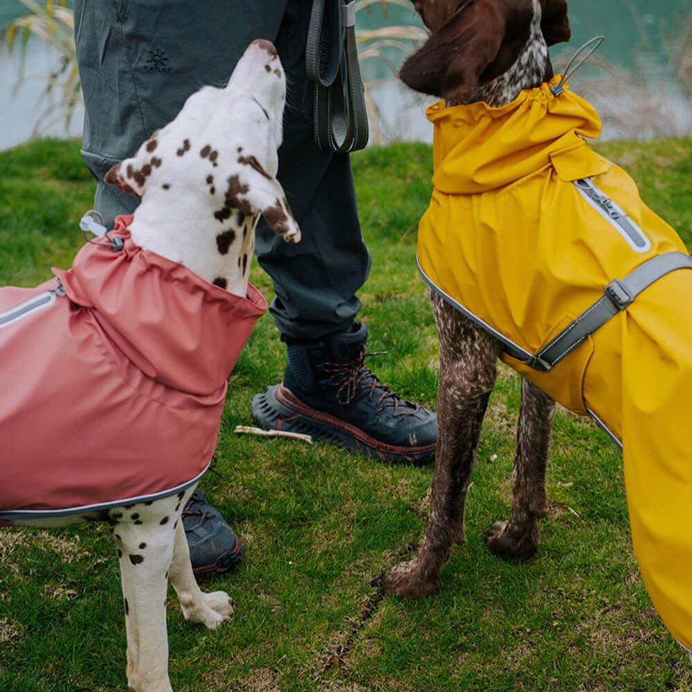 Adjustable Turtleneck Reflective Jacket Dog Human Matching Raincoat