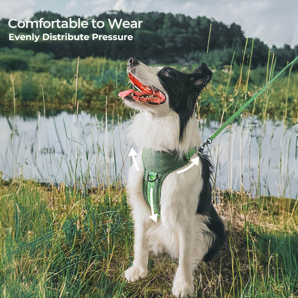 Eco-friendly Recycled Fabric No-Pull Dog Harness and Leash