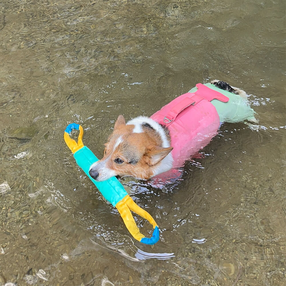 Juguetes interactivos al aire libre resistentes a tirar juguetes flotantes para perros