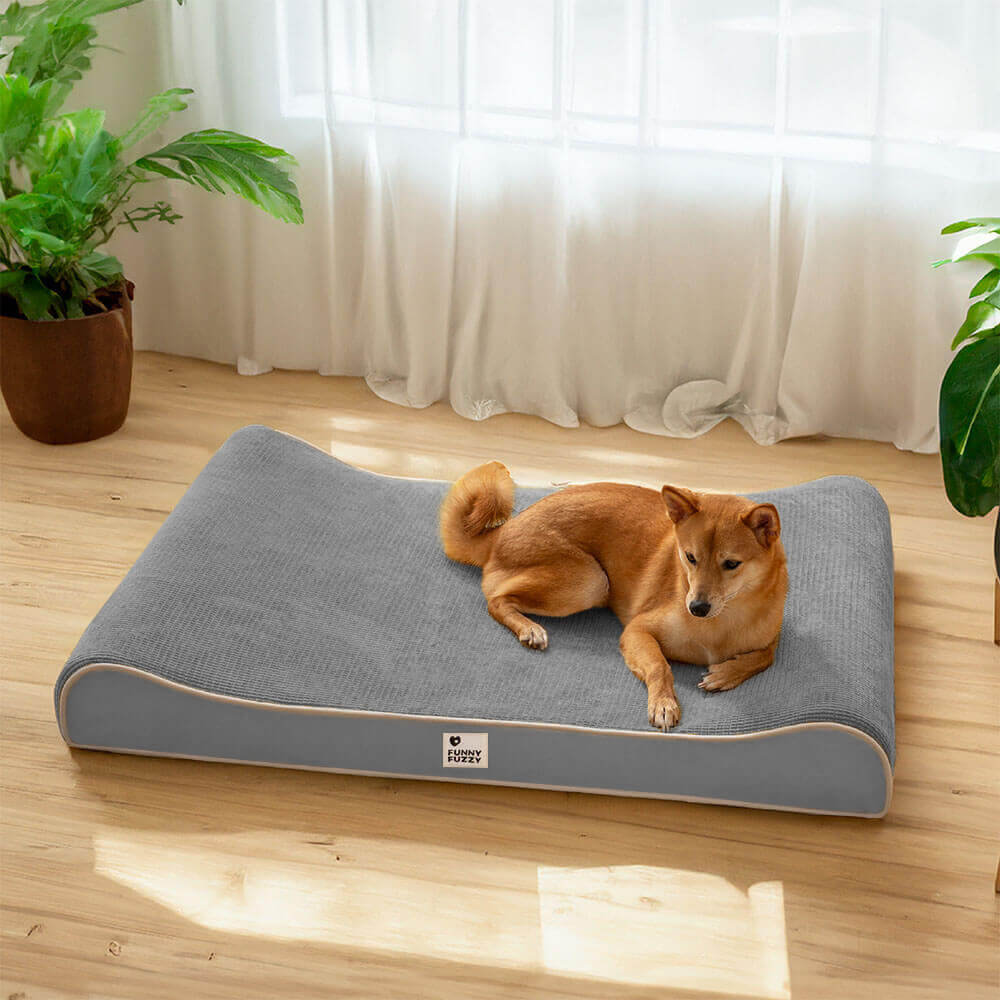 Luxuriöser Nobility Dog Lounge Chair, orthopädisches Hundebett