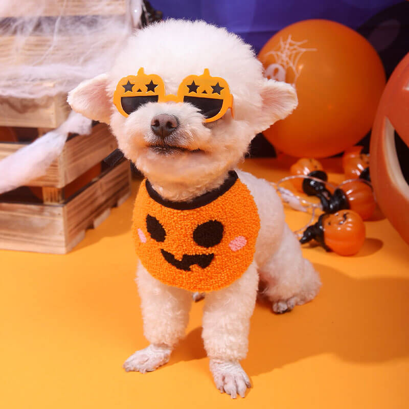 Halloween-Dekoration, modische Kürbis-Hundebrille