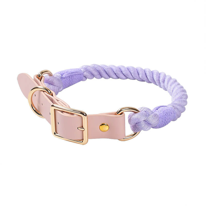 Collier et laisse pour chien en cuir tissé à la main, sans traction