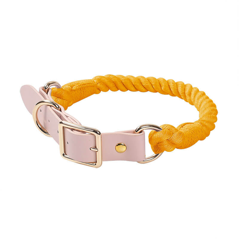 Collier et laisse pour chien en cuir tissé à la main, sans traction