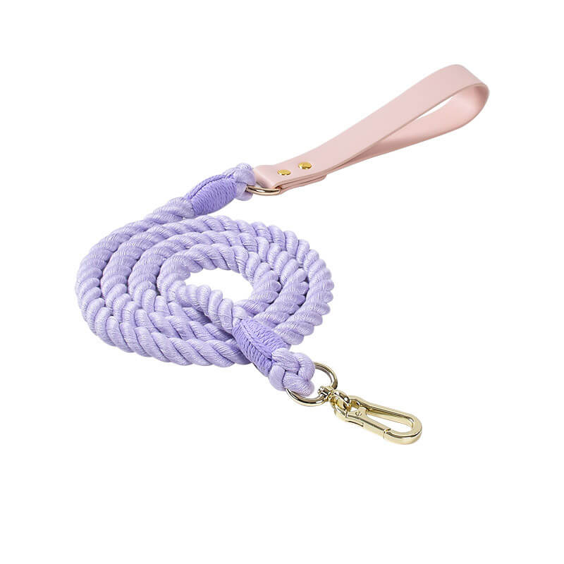 Collier et laisse pour chien en cuir tissé à la main, sans traction