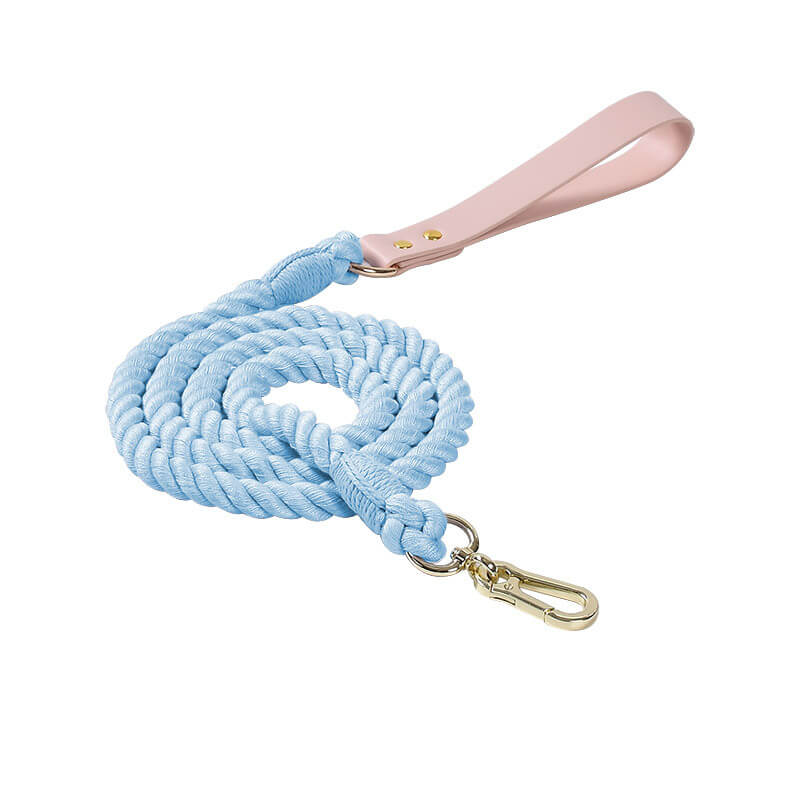 Collier et laisse pour chien en cuir tissé à la main, sans traction