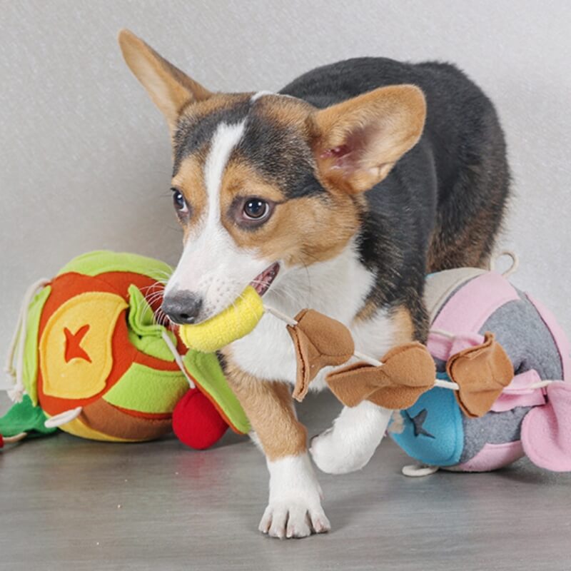 Interactive Puzzle Squeaky Toy Leaf Ball Dog Treat Dispenser Toy