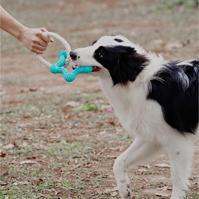 Juguete interactivo para perros de tira y afloja, juguete para masticar de goma con limpieza de dientes