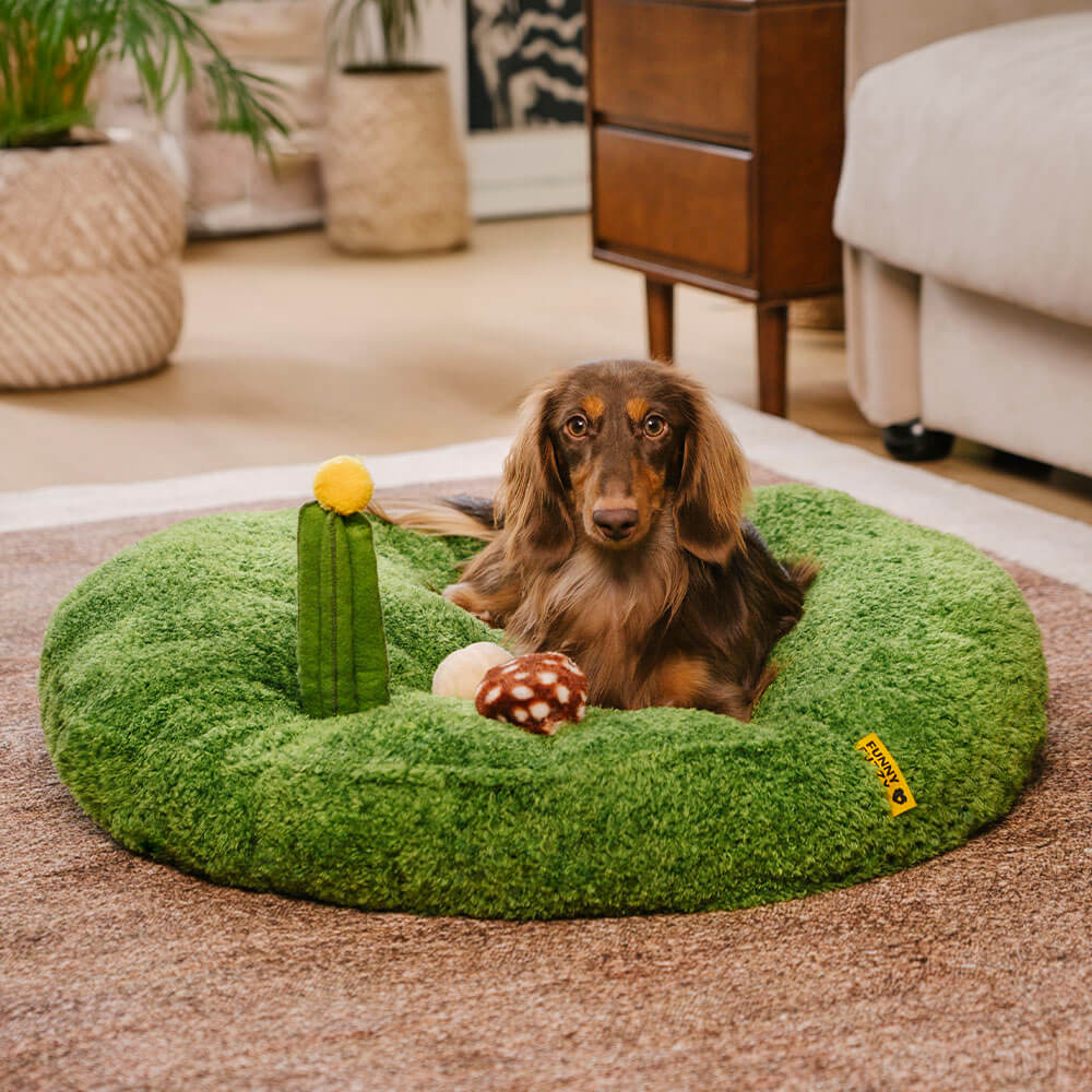 Jungle Explorer 2 in 1 Funny Plush Pet Bed - Nature Park