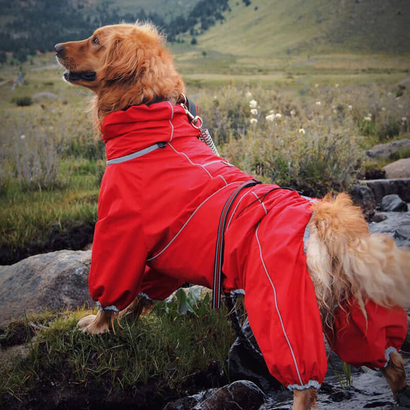 Chaqueta impermeable para exteriores para perros grandes, impermeable, ajustable, para lluvia