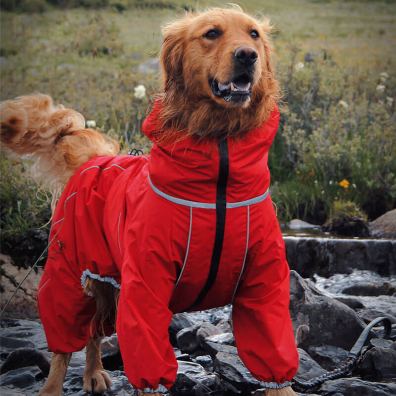 Jaqueta grande para cachorro ao ar livre Capa de chuva ajustável à prova d'água para cachorro