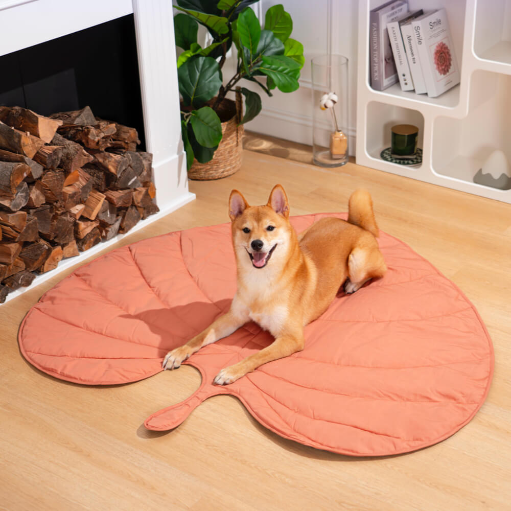 Couverture pour chien en forme de feuille