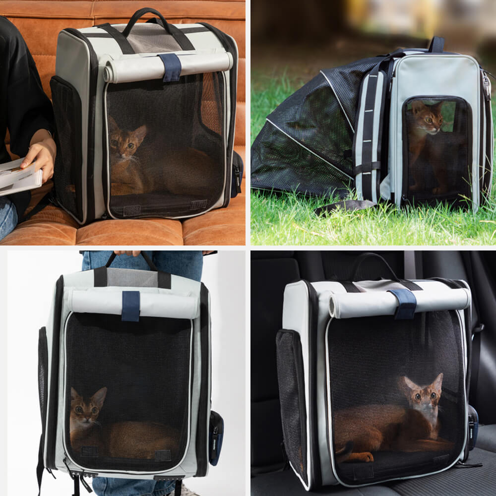 Sac à dos multifonctionnel extensible pour animaux de compagnie, grand espace, extérieur, pour chat