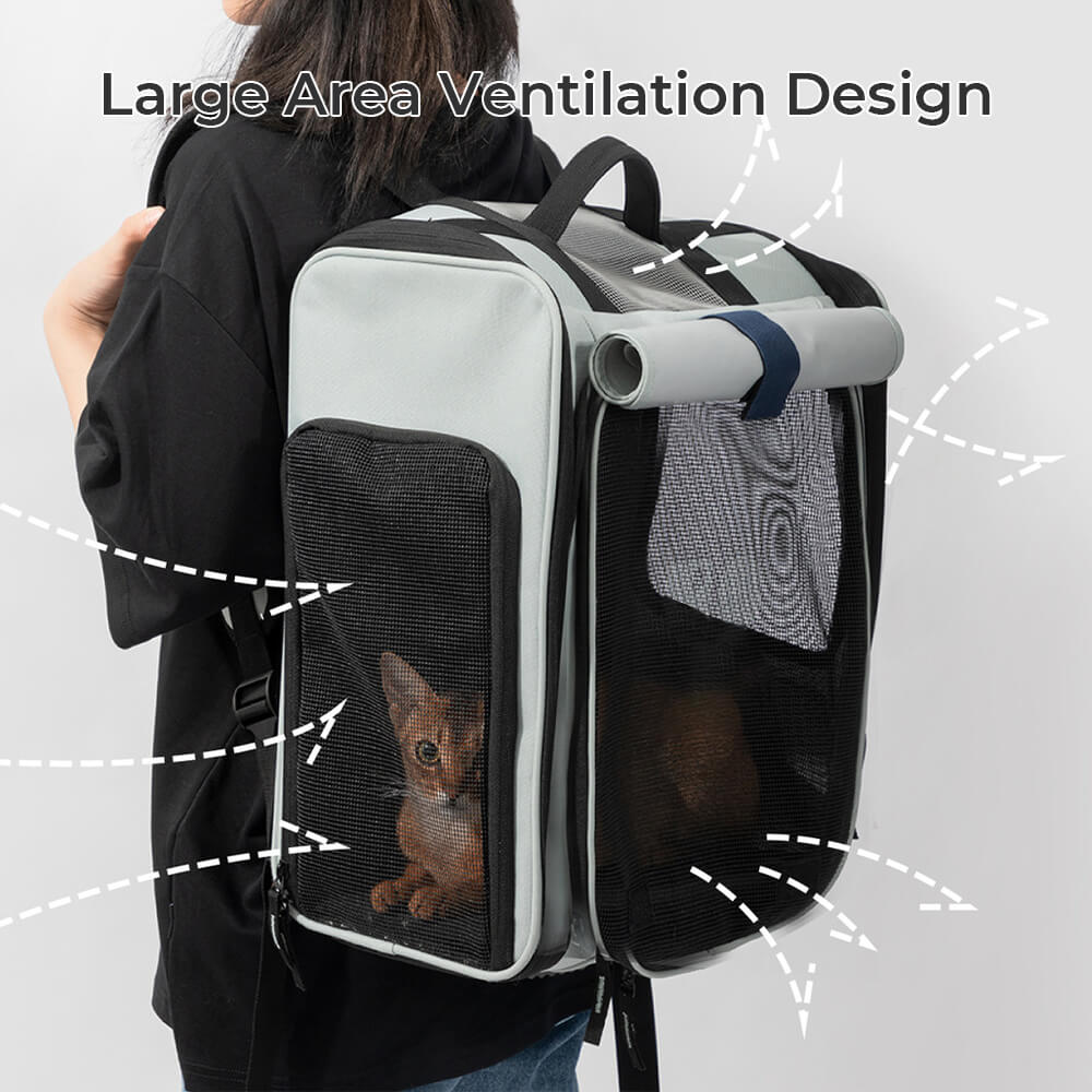 Sac à dos multifonctionnel extensible pour animaux de compagnie, grand espace, extérieur, pour chat