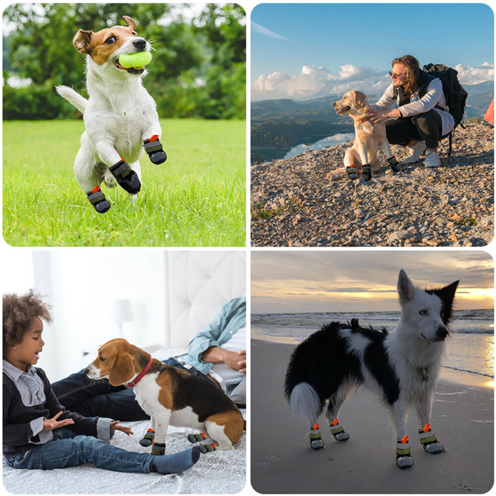 Outdoor Breathable Hiking Running Anti-slip Dog Shoes