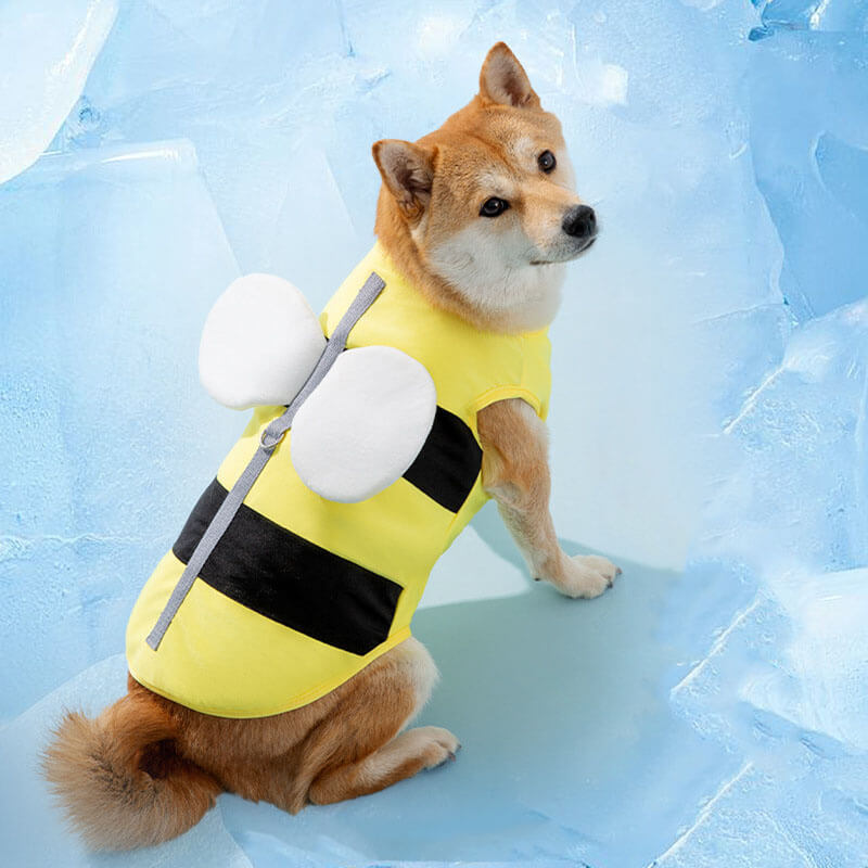 Outdoor-Sport-Haustier-Sonnenschutzkleidung, cooles Hundezubehör, Kühlweste