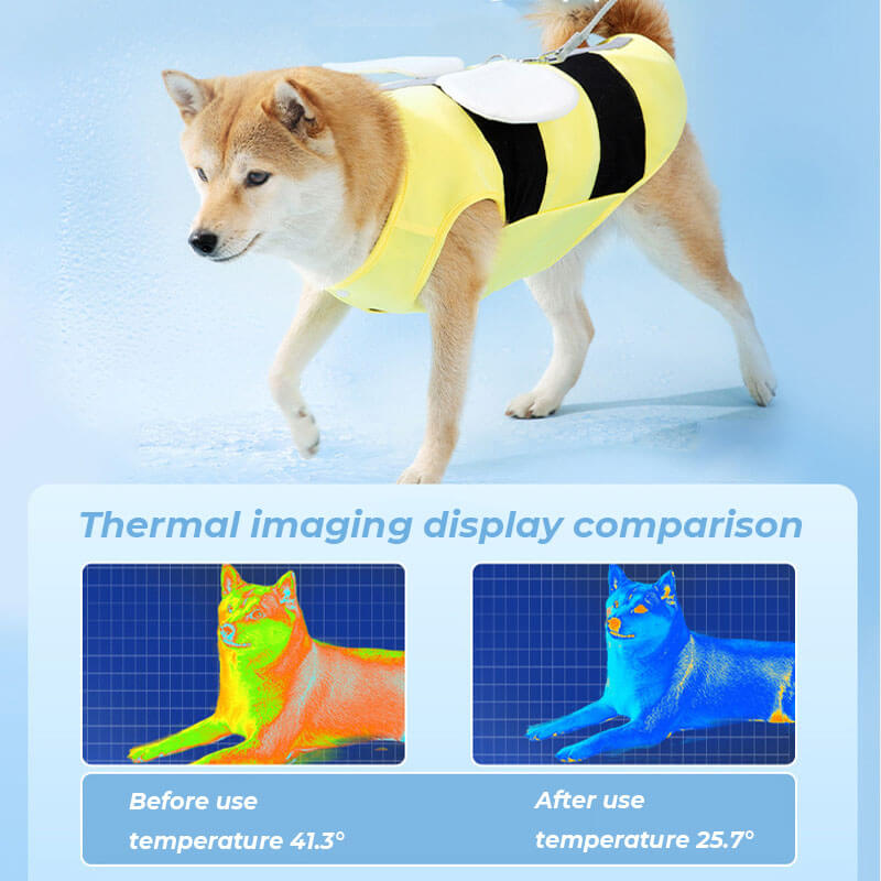 Outdoor Sports Pet Sun Protection Clothing Cool Dog Accessories Cooling Vest