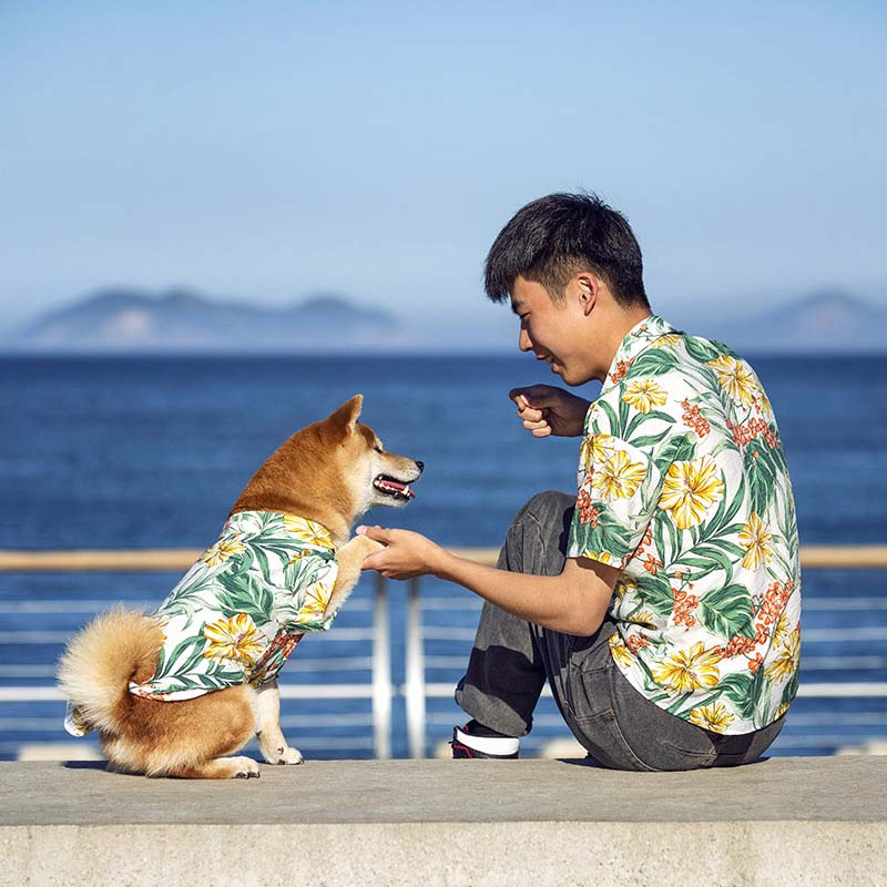 Chemise hawaïenne assortie pour vêtements de chien et de propriétaire