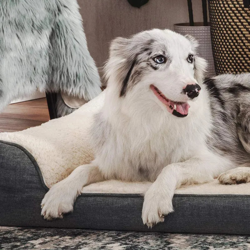 Canapé-lit en peluche pour animaux de compagnie, lit orthopédique pour chien en mousse à mémoire de forme