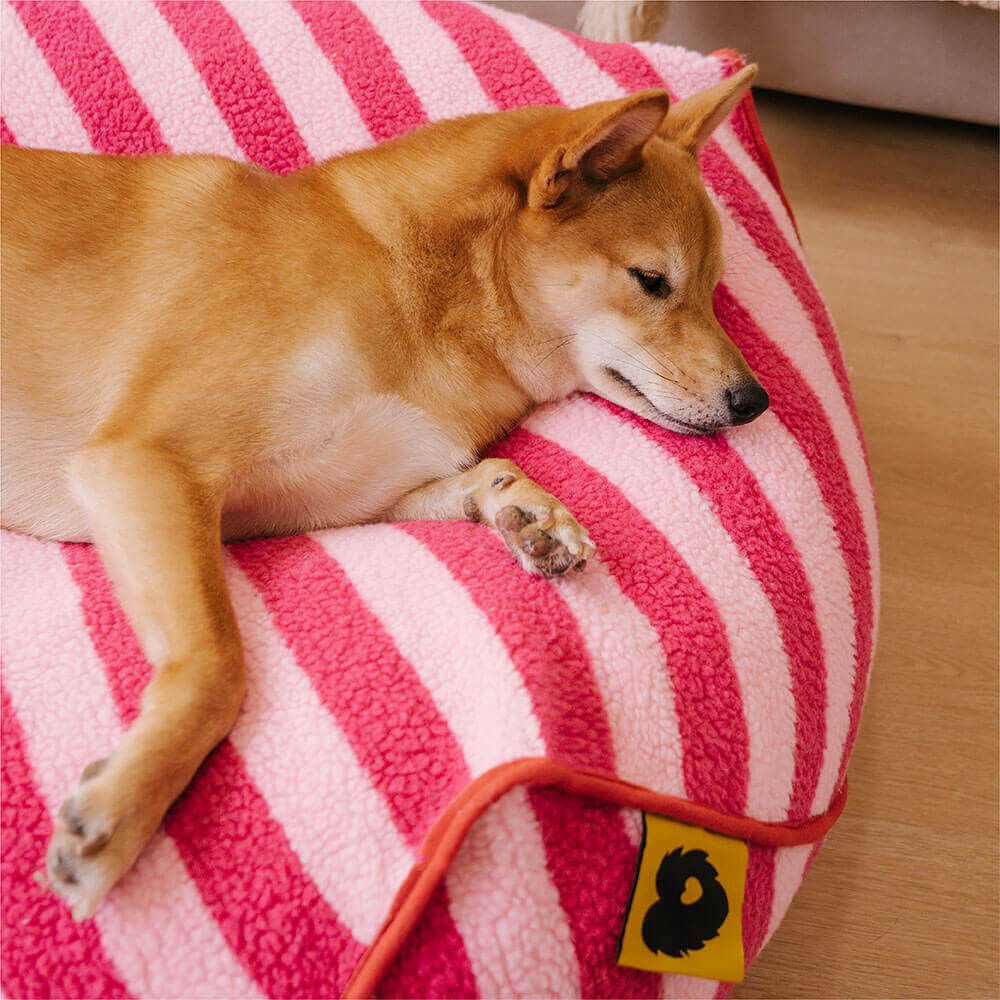 Trendy Striped Pattern Polygonal  Calming Bean Bag Dog Bed