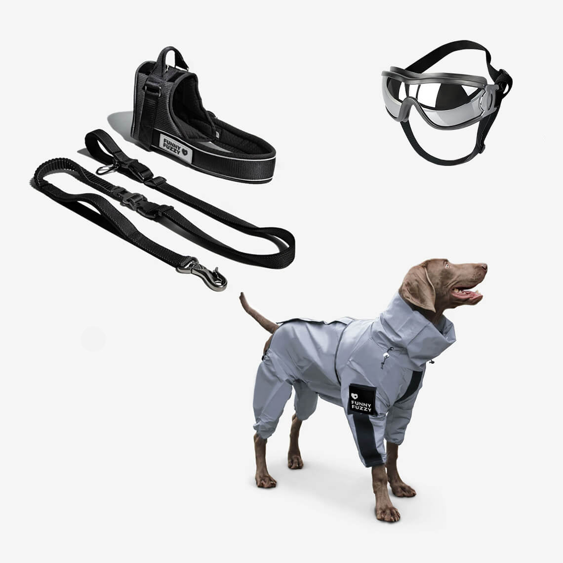 Juego de paseo con accesorios para perros Swag & Safe Cool