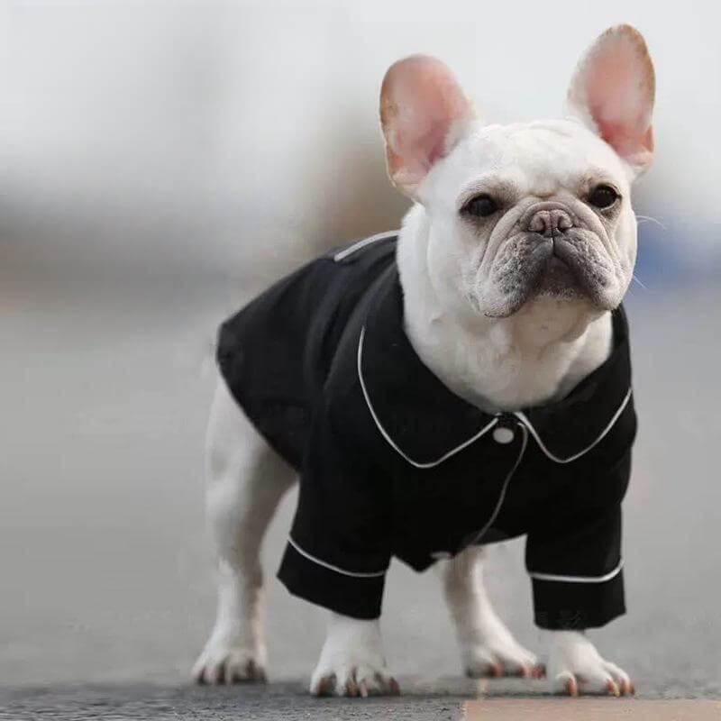 Pyjama assorti fin et confortable résistant aux poils pour chien et propriétaire