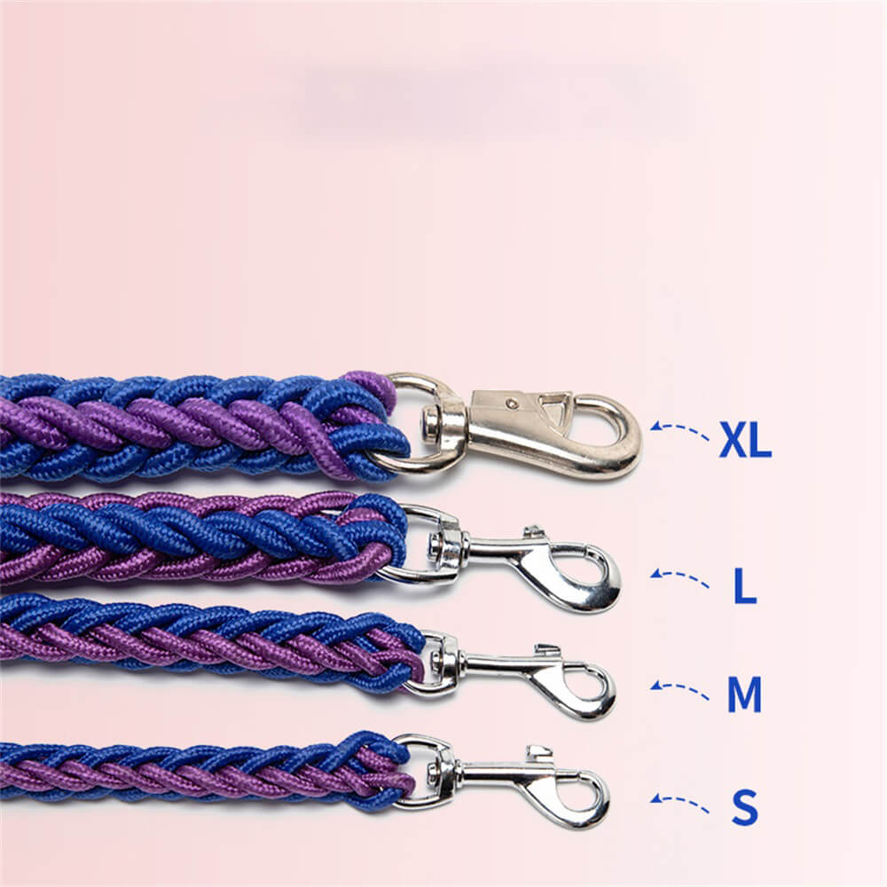 Explosion-Proof Nylon Braided Dog Leash and Collar